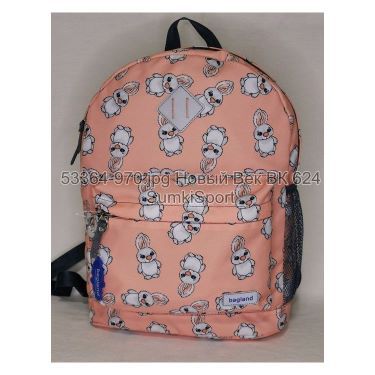 Рюкзак молодіжний 17 л Bagland 533664 (970)