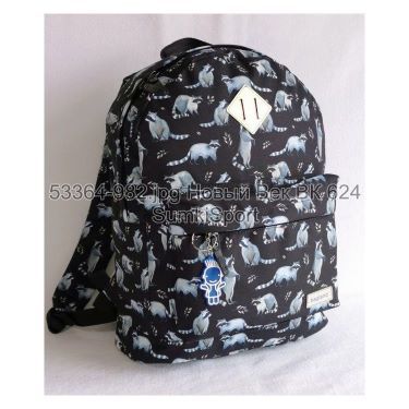 Рюкзак молодіжний 17 л Bagland 533664 (982)