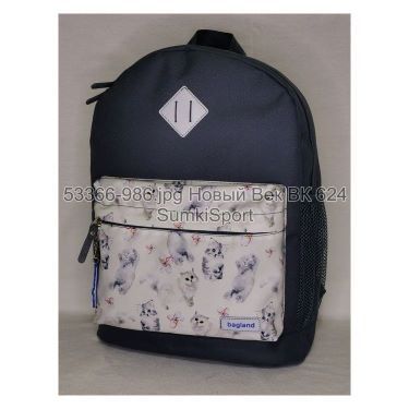 Рюкзак молодежный 17 л Bagland 533662 (986)