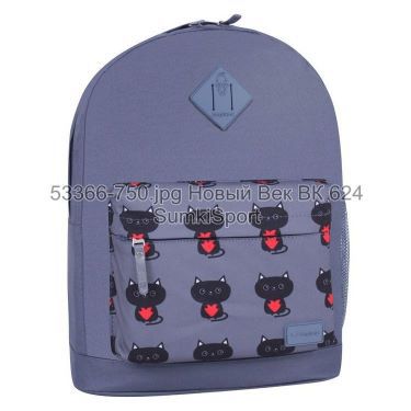 Рюкзак молодежный 17 л Bagland 533662 (750)